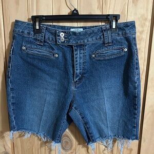 Vintage Carolina Blues Denim Cutoff Shorts